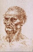 LEONARDO da Vinci Study of an old man France oil painting artist